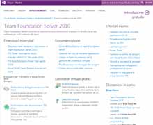 Team Foundation Server 2010 cancellare progetto o soluzione
